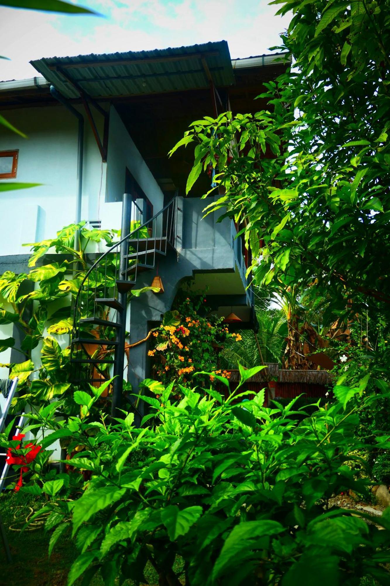 Sumatra Orangutan Discovery Villa Bukit Lawang Quarto foto